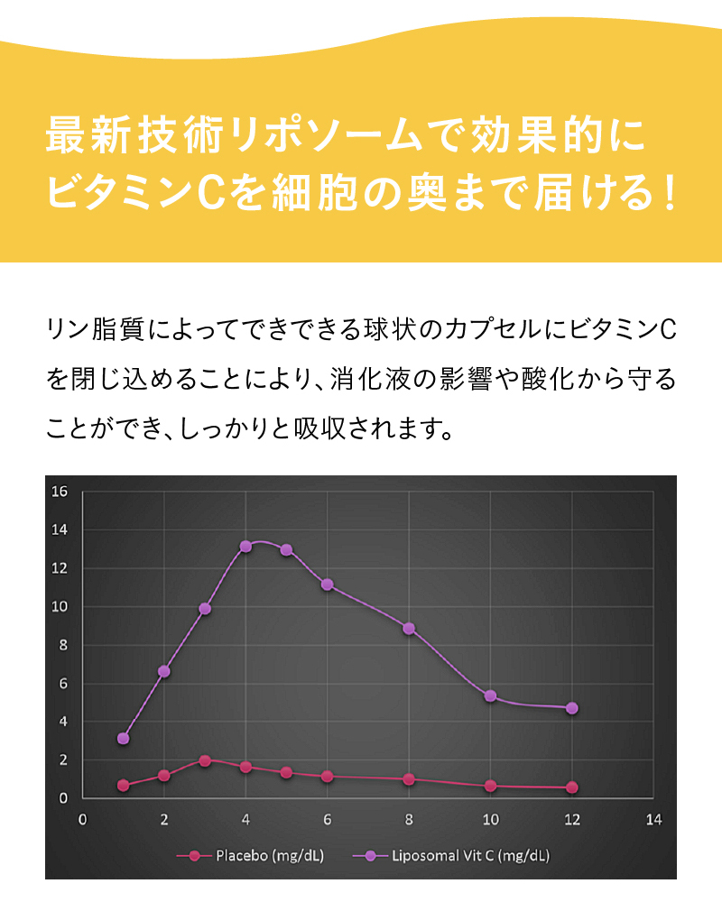 LIPO P VC ビタミンC